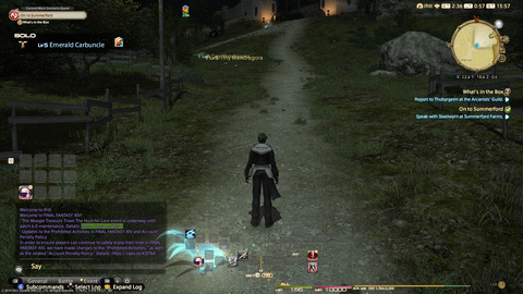 ffxiv_20211118_005737_567.png