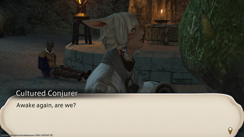 ffxiv_20211118_013625_499.png