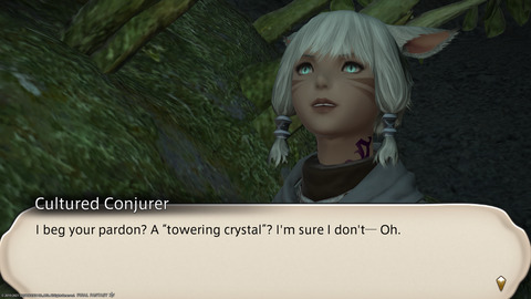 ffxiv_20211118_013825_782.png