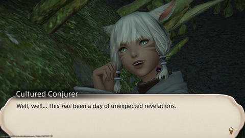 ffxiv_20211118_013832_733.png