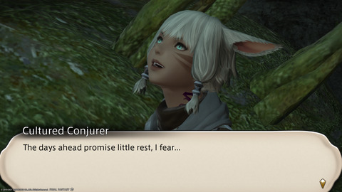 ffxiv_20211118_013843_882.png