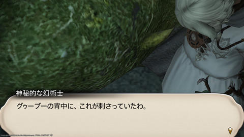 ffxiv_20211124_225235_787.png