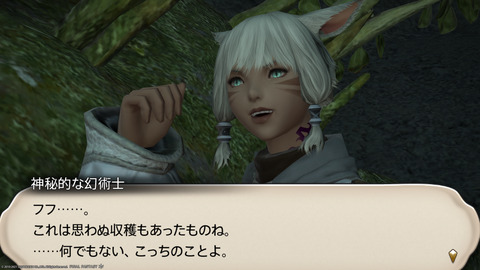 ffxiv_20211124_225300_237.png