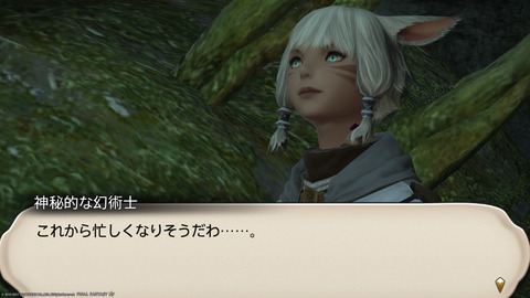 ffxiv_20211124_225313_453.png