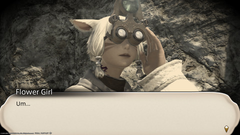 ffxiv_20211119_020713_578.png