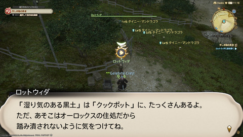 ffxiv_20211127_162300_150.png