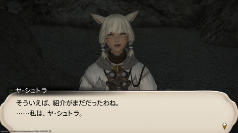 ffxiv_20211127_165447_551.png