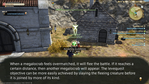 ffxiv_20211120_140423_791.png