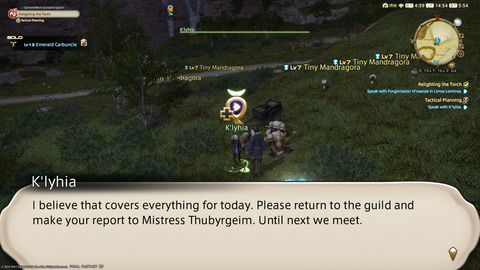 ffxiv_20211120_145436_238.png