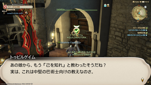 ffxiv_20211128_230319_526.png