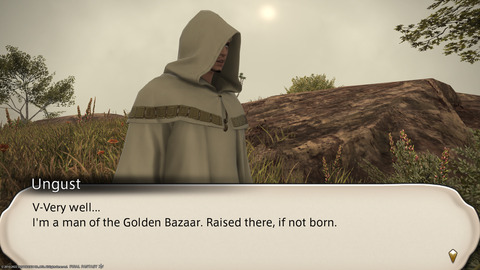 ffxiv_20220102_111719_403.png