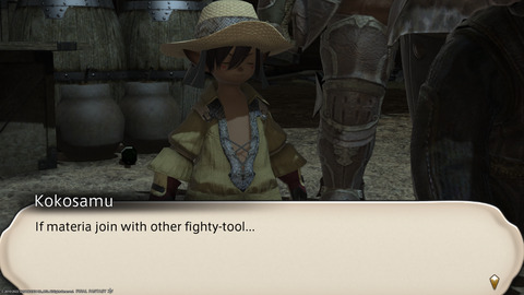 ffxiv_20220106_111912_627.png