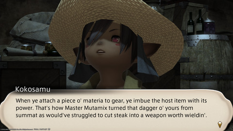 ffxiv_20220106_112015_293.png