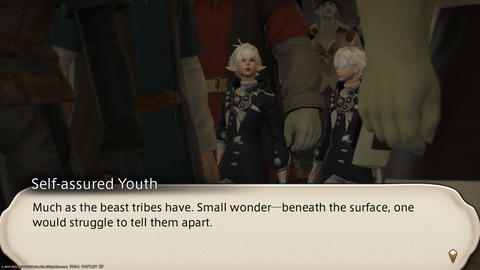 ffxiv_20220112_201746_460.png