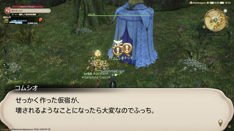 ffxiv_20220910_183325_012.png