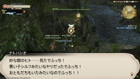 ffxiv_20220910_183349_495.png