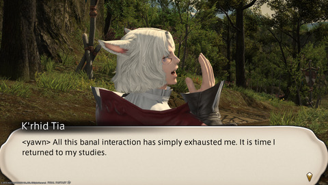 ffxiv_20220220_155828_438.png