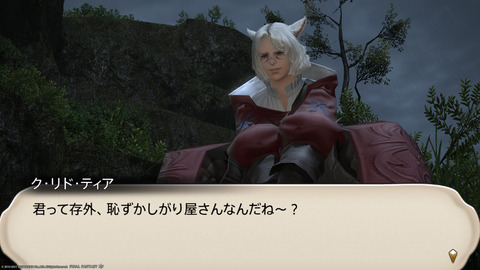 ffxiv_20211226_202618_744.png