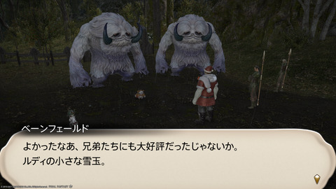 ffxiv_20211216_202014_802.png