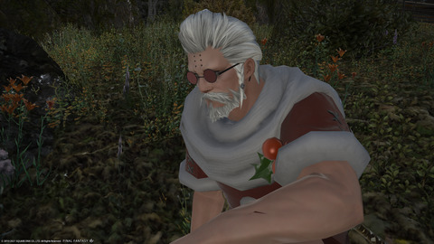 ffxiv_20211216_202041_169.png