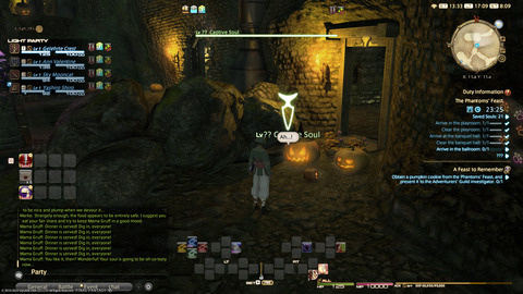 ffxiv_20220121_170932_948.png