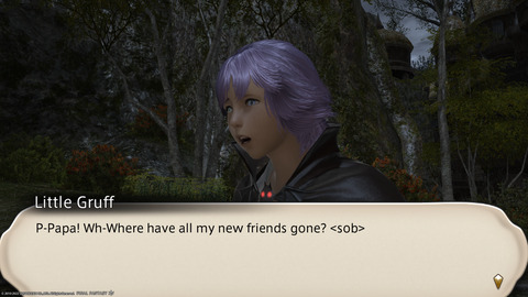 ffxiv_20220121_171634_333.png