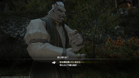 ffxiv_20220120_225820_111.png