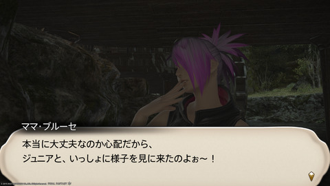 ffxiv_20220120_230228_077.png