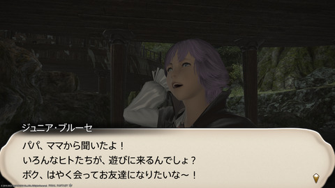 ffxiv_20220120_230231_244.png