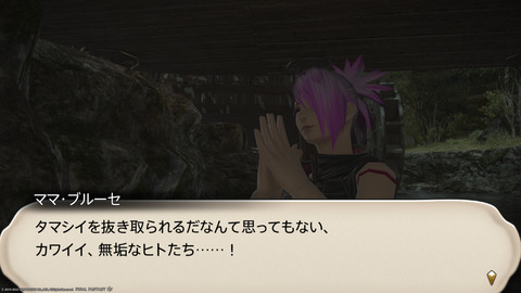 ffxiv_20220120_230247_994.png