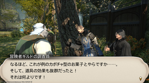 ffxiv_20220120_232038_677.png