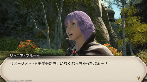 ffxiv_20220120_232056_260.png