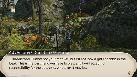 ffxiv_20221019_220707_751.png