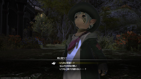 ffxiv_20221019_213216_733.png