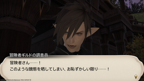 ffxiv_20221019_213515_634.png