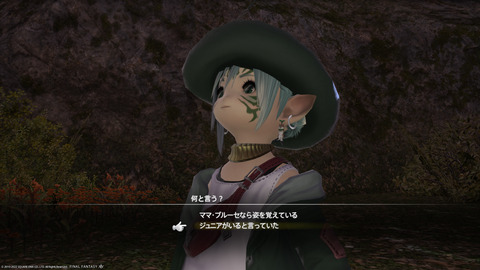 ffxiv_20221019_213609_633.png