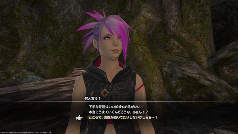 ffxiv_20221019_213830_234.png