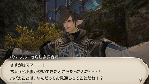 ffxiv_20221019_213837_233.png