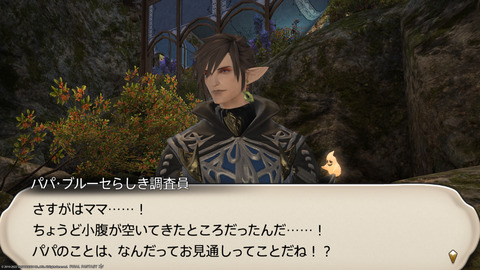 ffxiv_20221019_213839_883.png