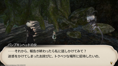 ffxiv_20221019_214030_017.png