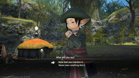 ffxiv_20220415_111354_713.png