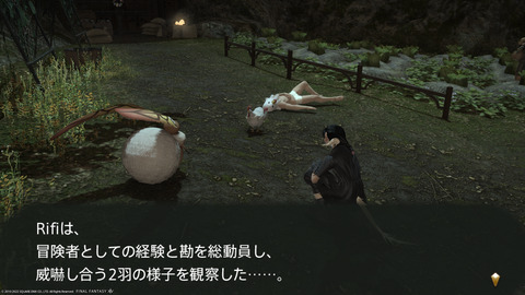 ffxiv_20220415_141658_645.png