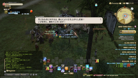 ffxiv_20220105_185223_341.png