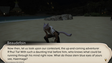 ffxiv_20220810_201113_942.png