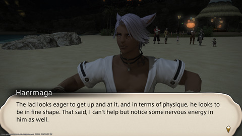 ffxiv_20220810_201120_125.png