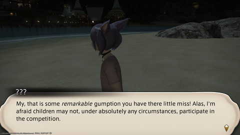 ffxiv_20220810_201745_173.png