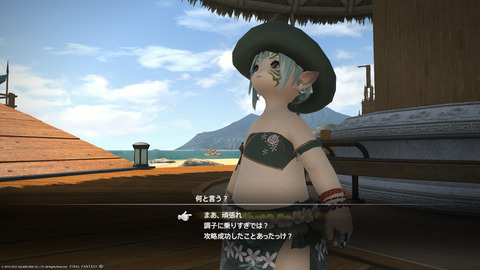 ffxiv_20220810_192509_086.png