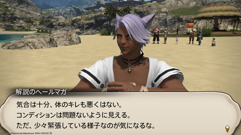 ffxiv_20220810_192739_485.png