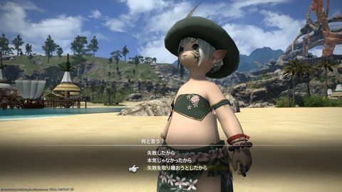 ffxiv_20220810_193157_284.png