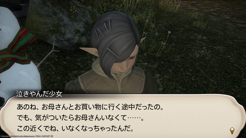 ffxiv_20221215_205141_511.png